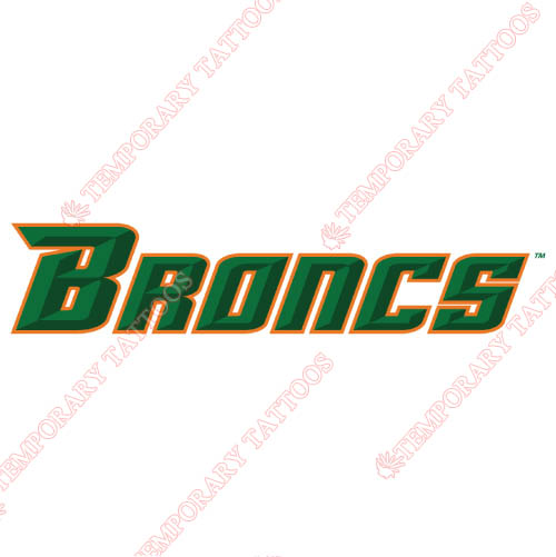 Texas Pan American Broncs Customize Temporary Tattoos Stickers NO.6523